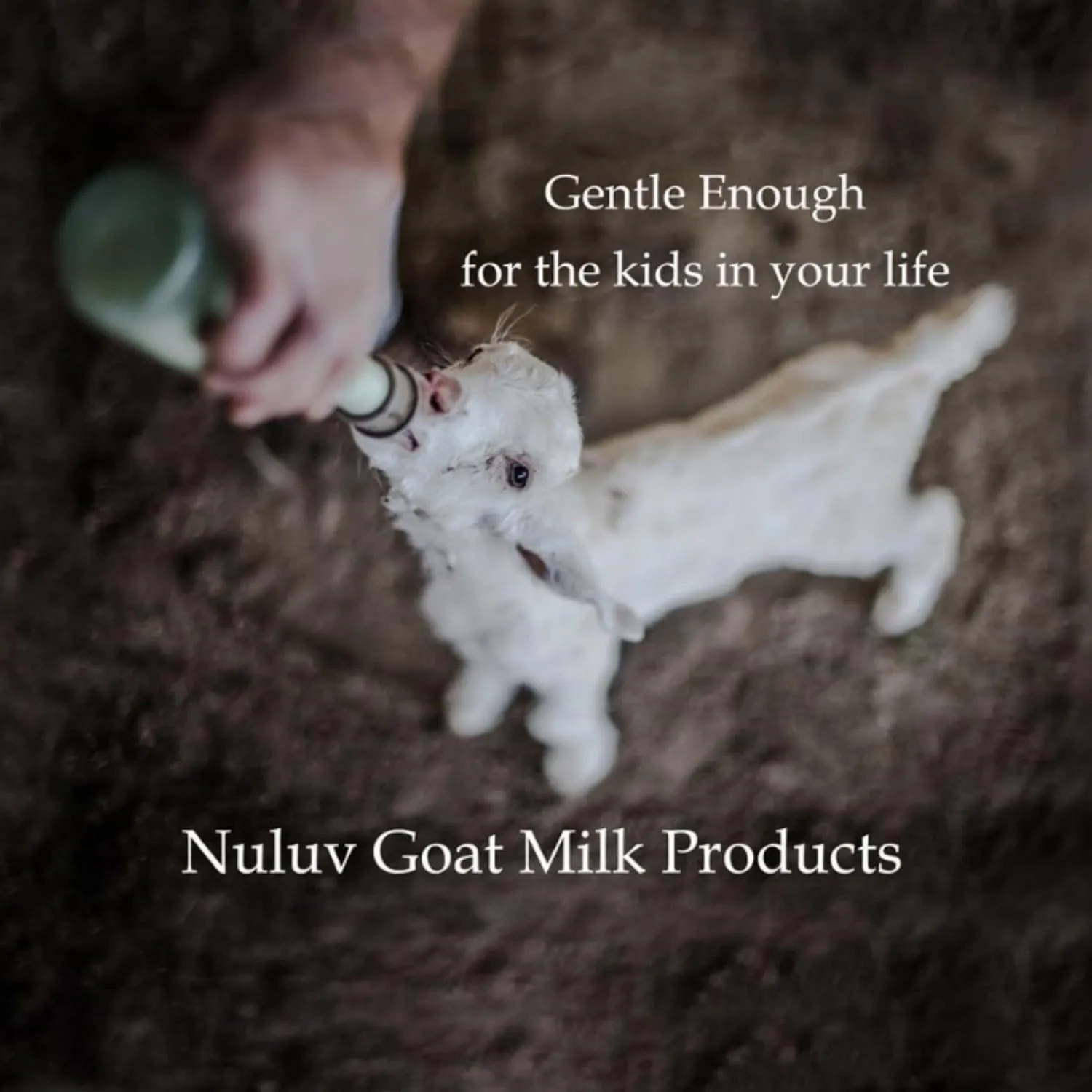 2 Ounce Travel Size Goat Milk Body Lotions 5-Pack Soothing for Hands and Body, Soft, Healthy Skin Cruelty-Free and Paraben-Free, Made in USA