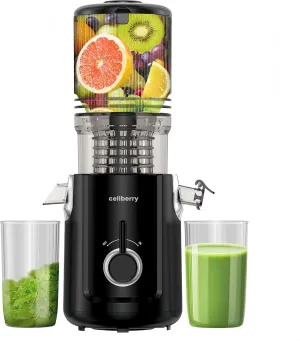 Cold Press Juicer Machines, 5.3” Large Feed Chute Slow Masticating Juicer for Whole Fruits & Vegetables, 300W Quiet Juice Extractor, Easy to Clean, Anti-Clog, No Drip, High Juice Yield