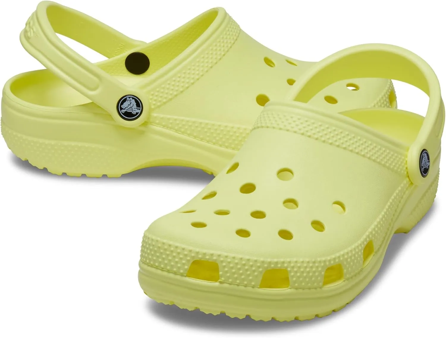 Crocs Unisex Adult Classic Clog