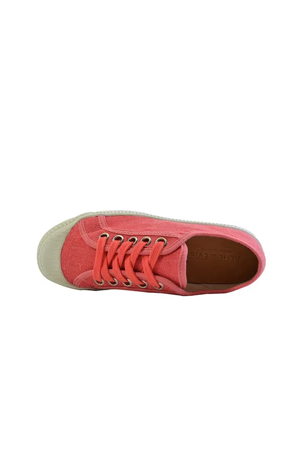 DOLCE-CORAL