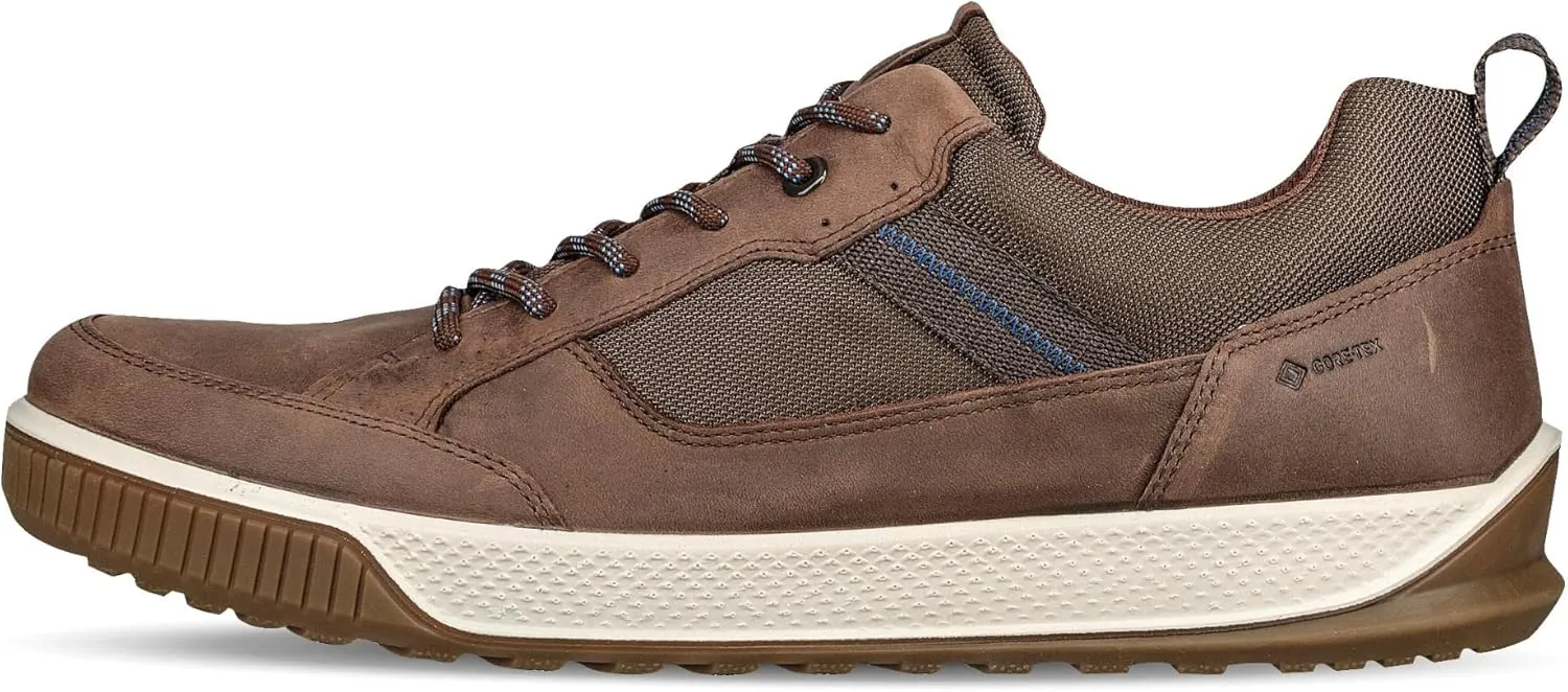 ECCO Men's Shoe