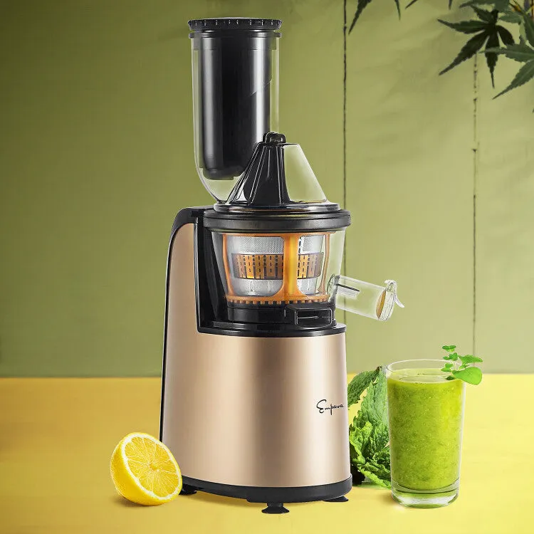 Empava Cold Press Slow Juicer in Gold (BLDR01)