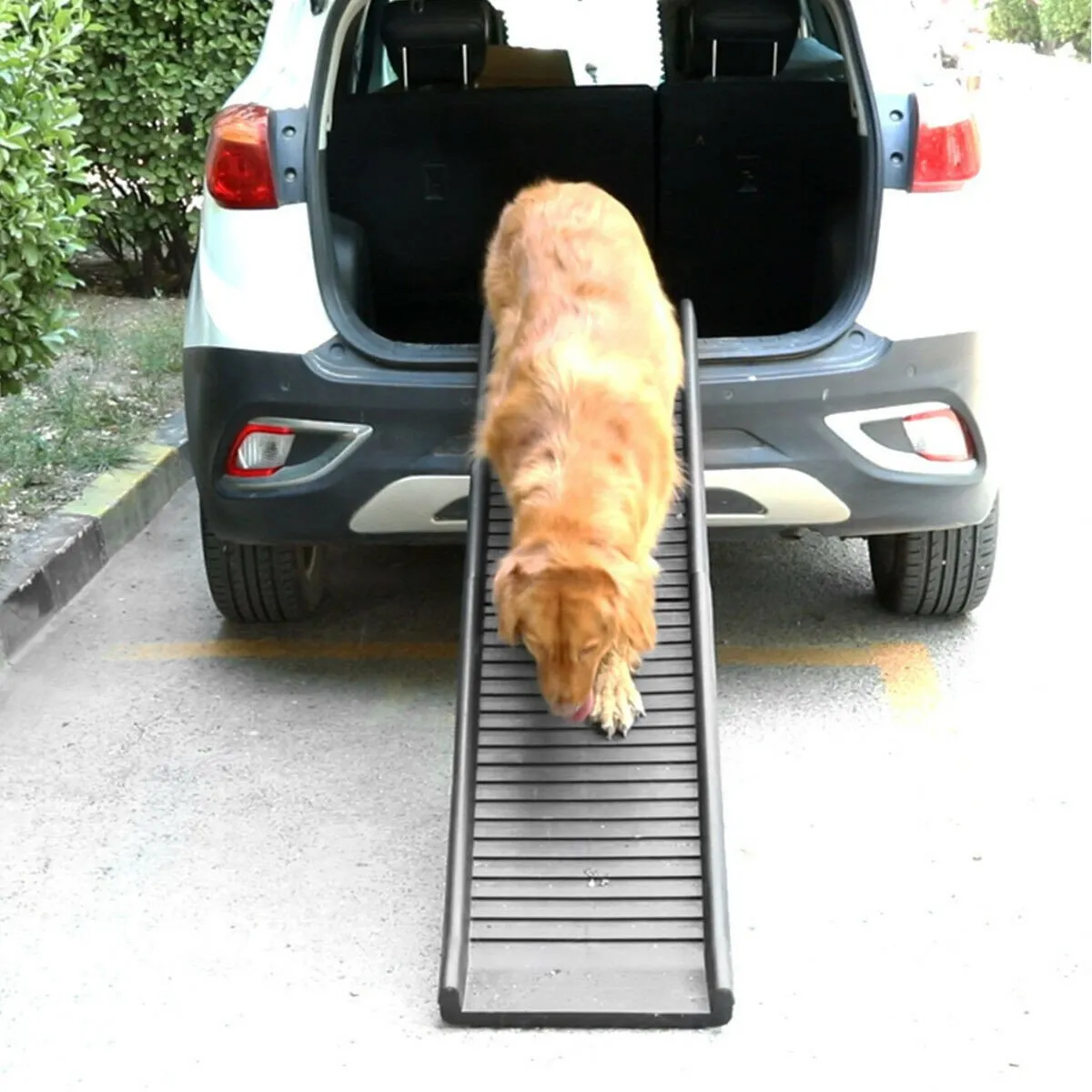 Folding Pet Ramp