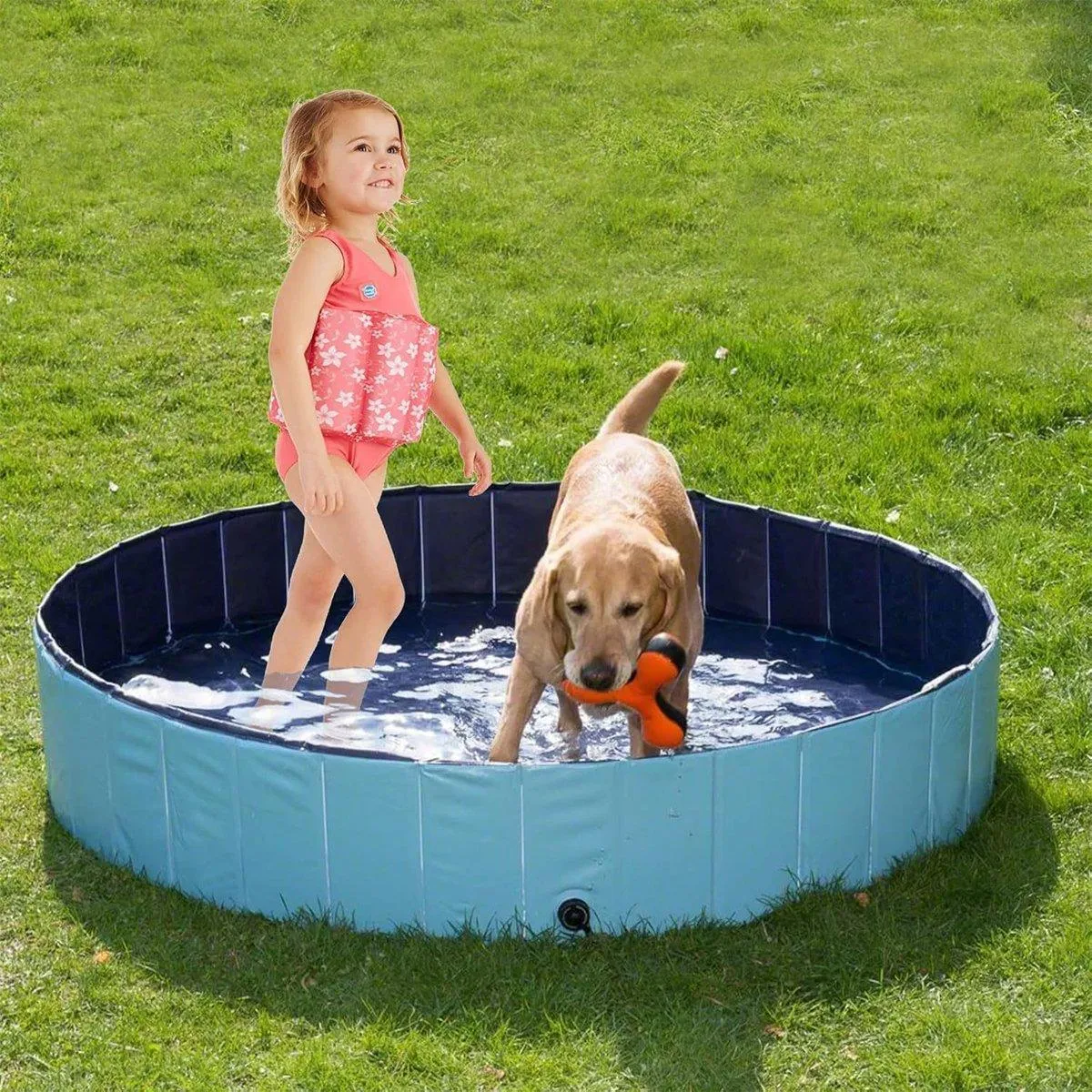Pet Swimming Pool Foldable Portable Pool for Dogs or Kids Outdoor Summer Play