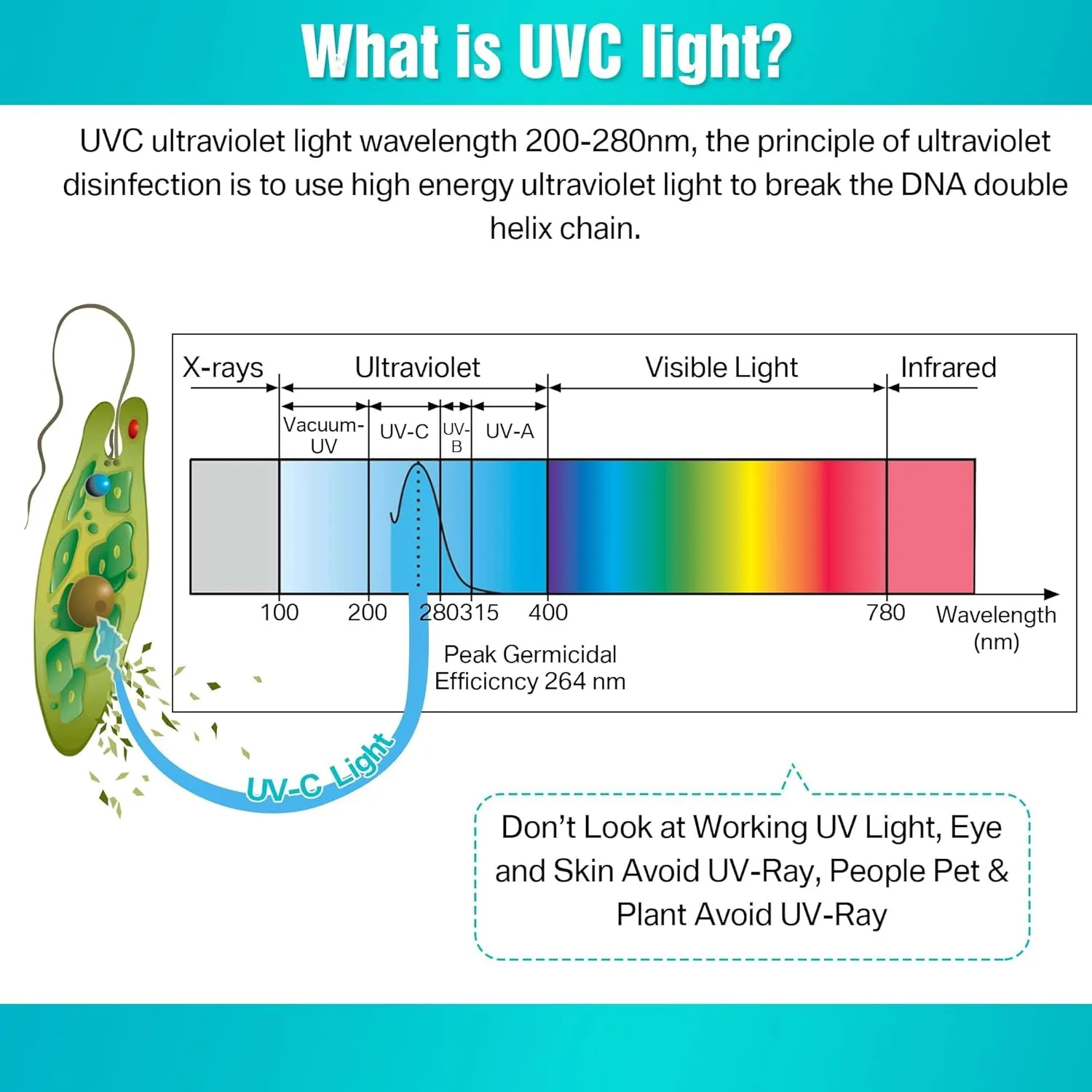 Qualirey 2 Pack UV Light with Ozone, 110V UVC Double Germicidal Lamp Including ON/Off Switch Cord and Plug, 253.7nm Wavelength UVC Lamp with Connector and Screw Tools for Closet Shoe Cabinet (8w)