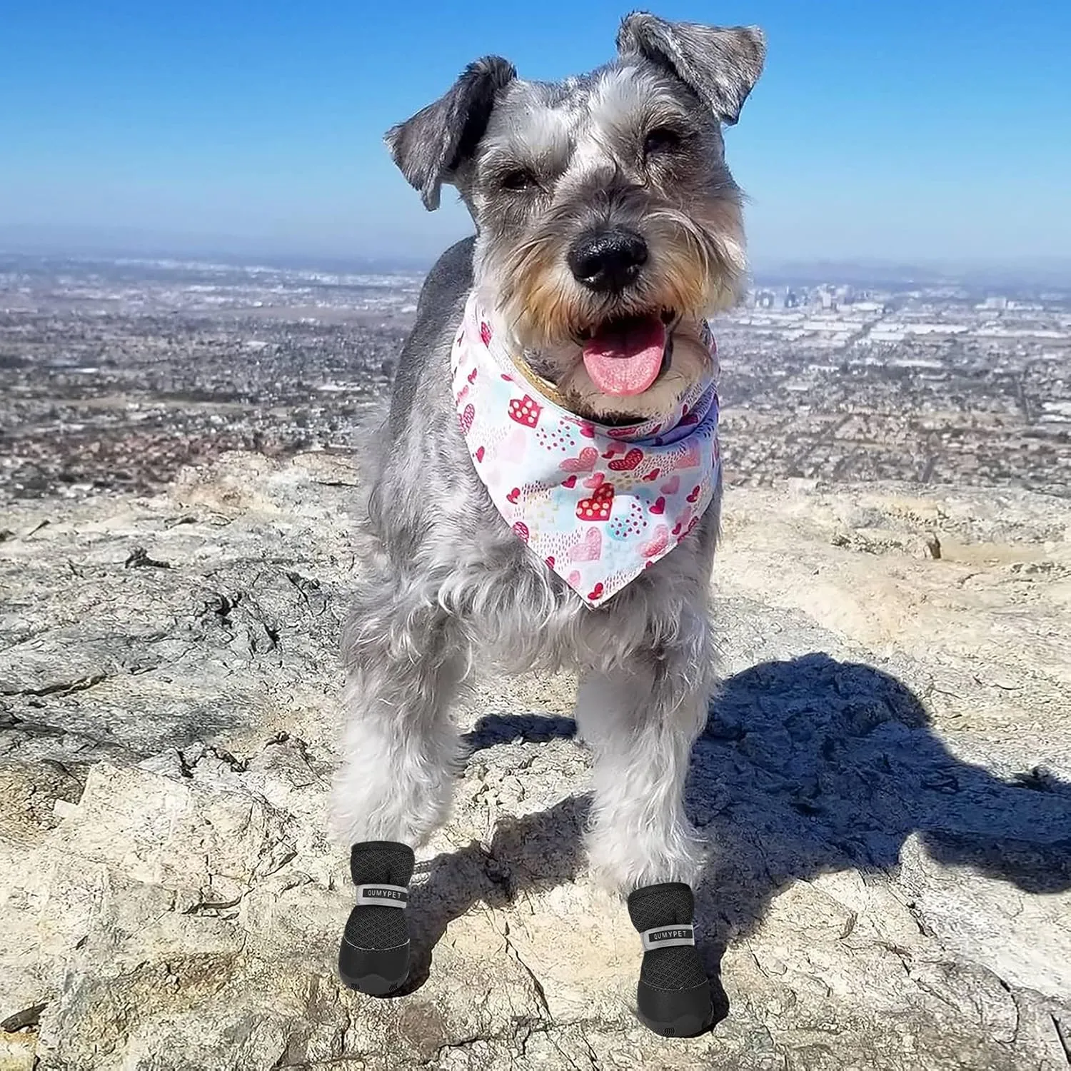 QUMY 4PCS Dog Shoes for Small Dogs, Hot Pavement Summer Puppy Dog Boots & Paw Protectors with Soft Anti-Slip Rubber Sole, Mesh Breathable Dog Booties for Hardfloors, Walking Running Black Size 4