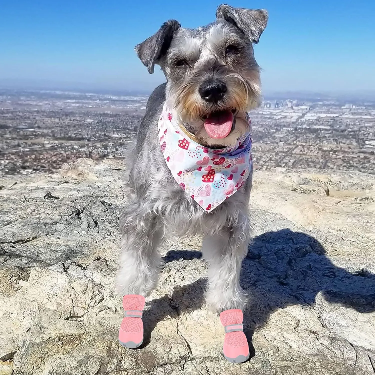 QUMY 4PCS Dog Shoes for Small Dogs, Hot Pavement Summer Puppy Dog Boots & Paw Protectors with Soft Anti-Slip Rubber Sole, Mesh Breathable Dog Booties for Hardfloors, Walking Running Pink Size 2